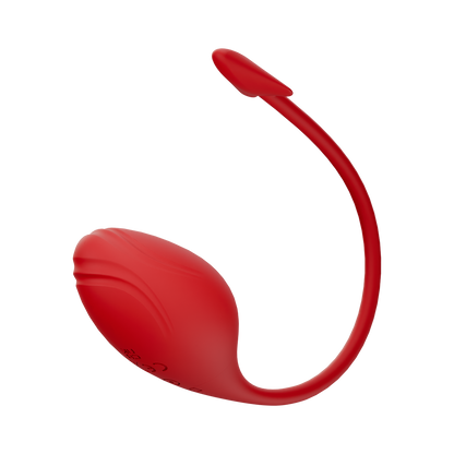 Vibration Egg